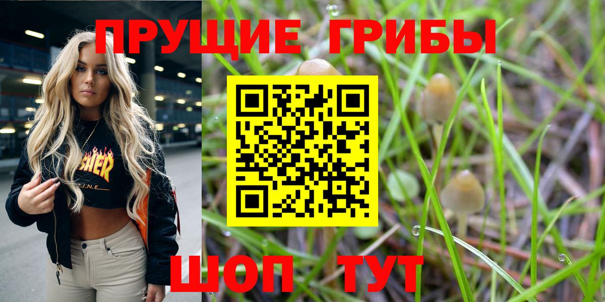 Псилоцибиновые грибы MAGIC MUSHROOMS Таганрог