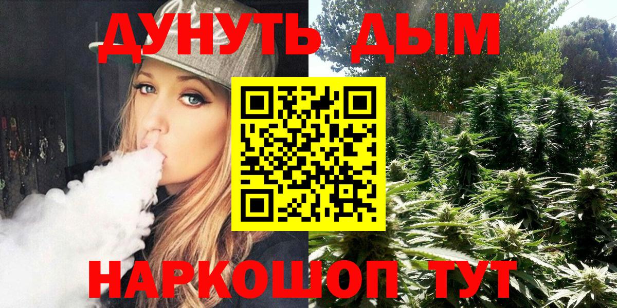 Каннабис сатива Таганрог